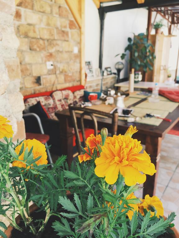 Nizama's Place