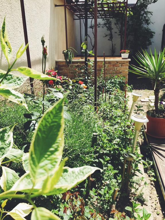 Gasthof Nizama's Place